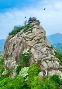 河南信陽旅遊攻略：帶你體驗茶園生活
