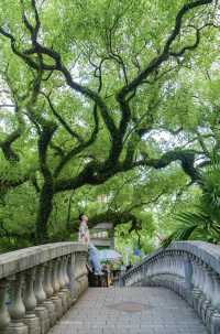 佛山真係好chill…願意去一萬次嘅生命力公園