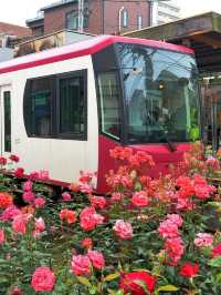 東京都電荒川線交通攻略｜搭復古電車漫遊懷舊東京
