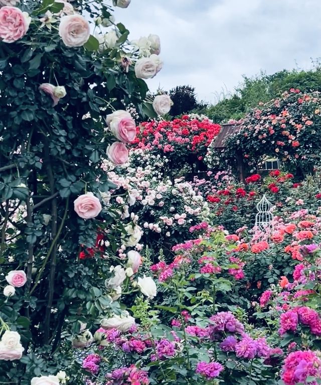 04女大學生嘅漫花莊園.冇女仔可以拒絕嘅花莊園