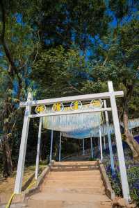 桂林尧山 | 市區最高峰+絕美山頂咖啡