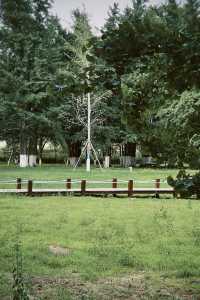臨沂周邊週末遊：春夏嘅生生園靜謐生機