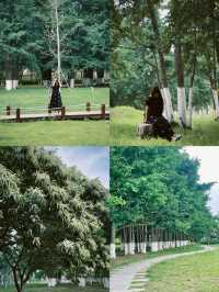 臨沂周邊週末遊：春夏嘅生生園靜謐生機