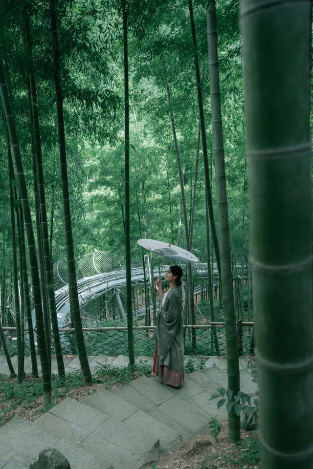 端午安吉攻略｜6分鐘直達雲上草原！