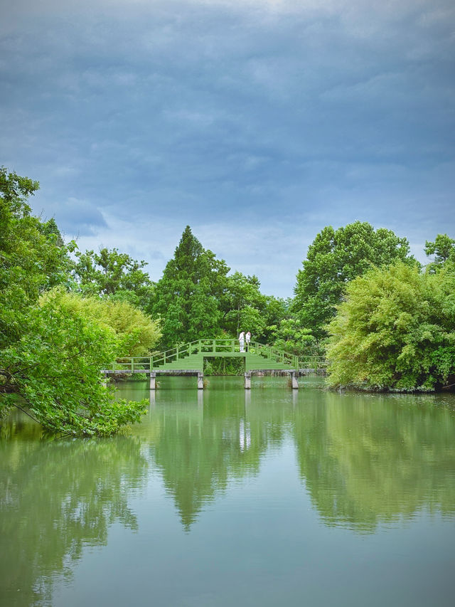 西溪煙雨後：濕地嘅朦朧水墨技法，濕地植物嘅棱鏡折射藝術