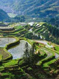 安順-黔南-黔東南旅遊5天不繞路攻略