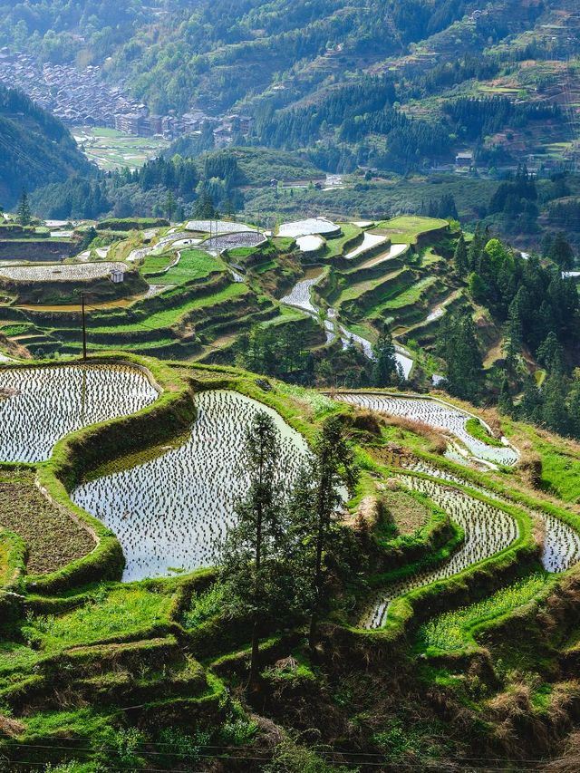 安順-黔南-黔東南旅遊5天不繞路攻略