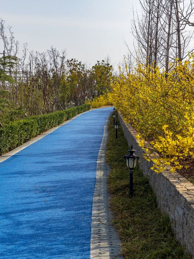端午小長假 郑州等地遊玩攻略來啦
