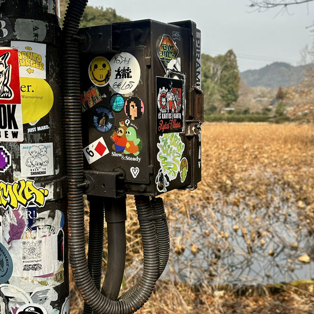 Adventures in Arashiyama 