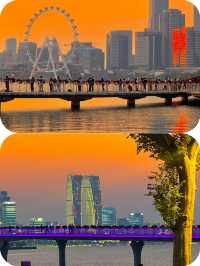 蘇州點可以唔算係海濱城市呢。。。