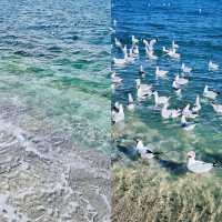 青海湖終極攻略：360°環湖秘境、天空之鏡拍照指南