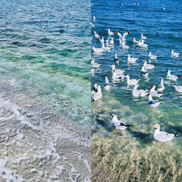 青海湖終極攻略：360°環湖秘境、天空之鏡拍照指南
