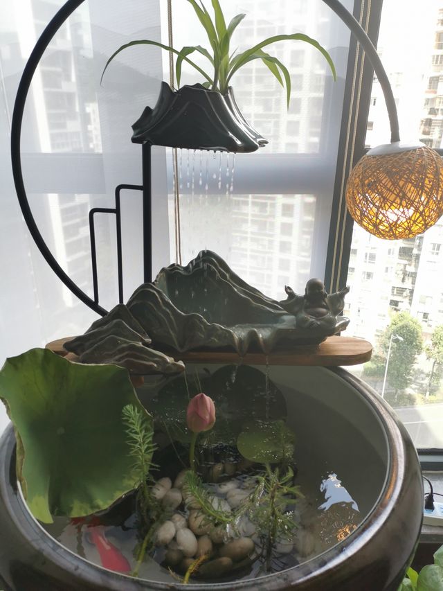 遂寧！萬達廣場！國風茶文化酒店值到喊