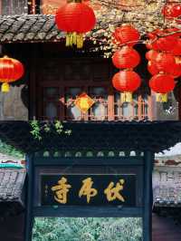 峨眉聖境｜3077米金頂與佛光同修嘅渡劫指南 （踏九十九道天梯，避三千猴匪，奪萬丈霞光） 開卷禪