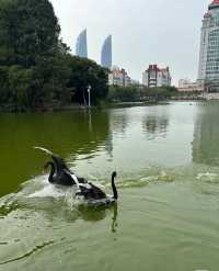 入住錦江之星，邂逅廈大浪漫之旅