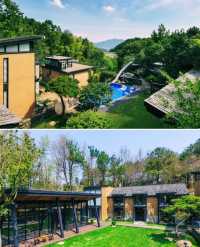 建德·雲漫松間 承包整片松林嘅夯土美學民宿