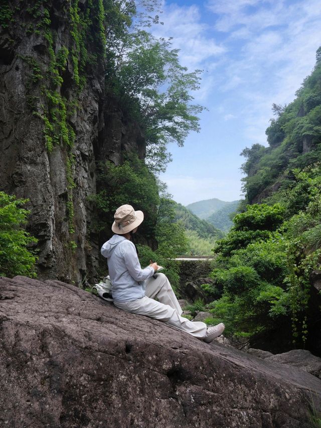 竹海聽白噪音 腦內彈幕清零