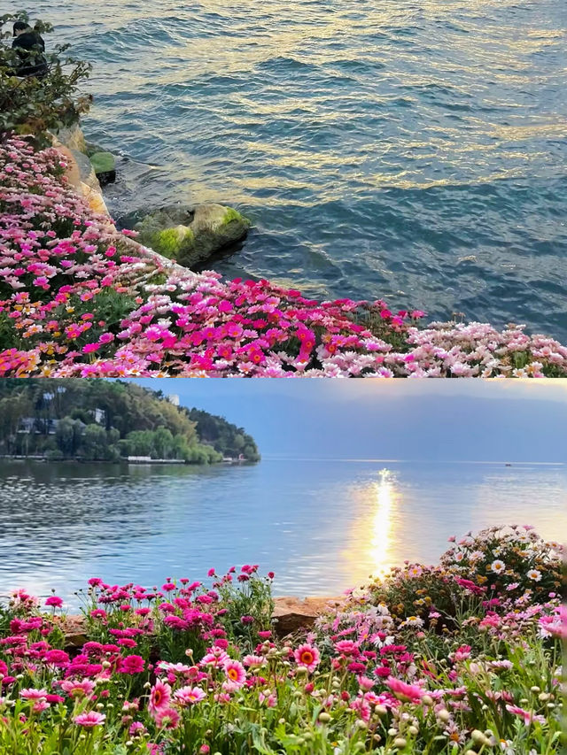 千祈唔好畀父母嚟洱海，否則佢哋會影爆你手機所有記憶體