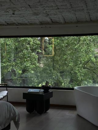 June in Jing'an: Escape to Jiangxi's 23℃ Green Wonderland, Pool + Paddleboarding—The Ultimate Summer Retreat I Discovered

Really! When Nanchang’s 40℃ heat was almost melting people away