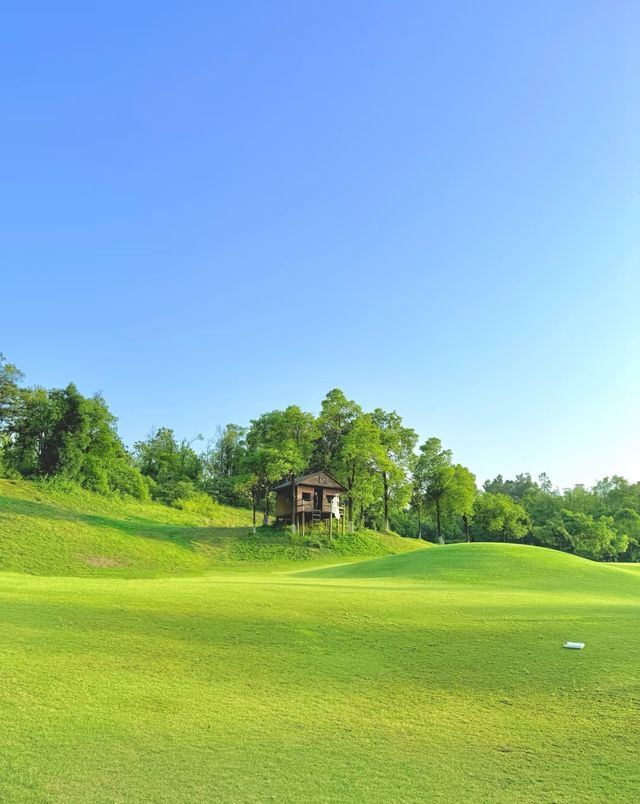 6 - 7月必去 呢4個旅遊城市 去過都想再去多次