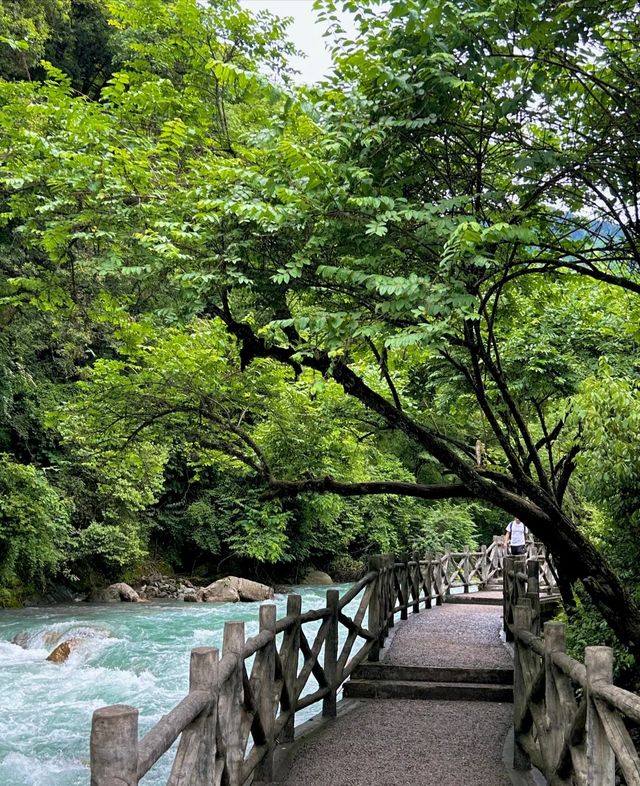 成都周邊有很多值得一遊嘅地方，以下從唔同方向為你提供旅遊攻略：