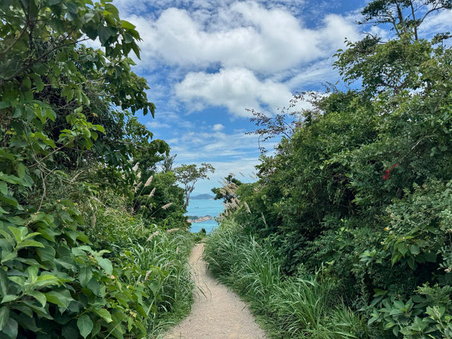 浙版麥理浩徑水桶岙