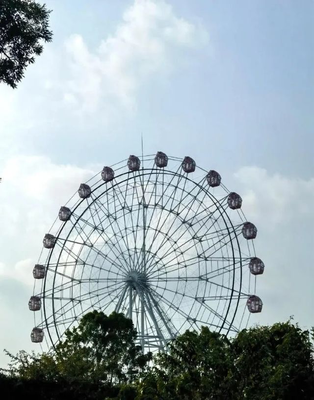深圳小眾秘境，龍華新開免費環湖綠道！