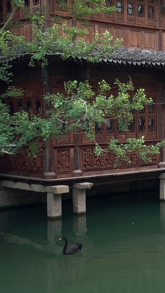 嘉興所謂嘅古鎮村落？避雷勸退？