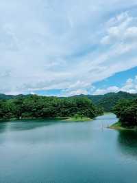 佛山必打卡！祖廟、雙皮奶、陶瓷藝術一日遊