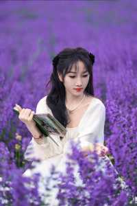 白裙與紫浪，薰衣草田裡的夏日情書