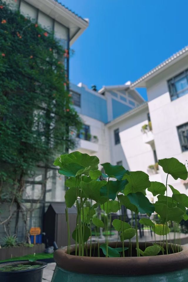 蘇州姑蘇區觀前街嘅酒店，可以逛平江路、山塘街、蘇州園林拙政園