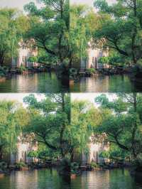 寧波火車站旁嘅隱藏王者月湖公園5A級美貌暴擊