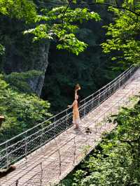 在湖北！21º嘅高山草原，夏天真係舒服到震～