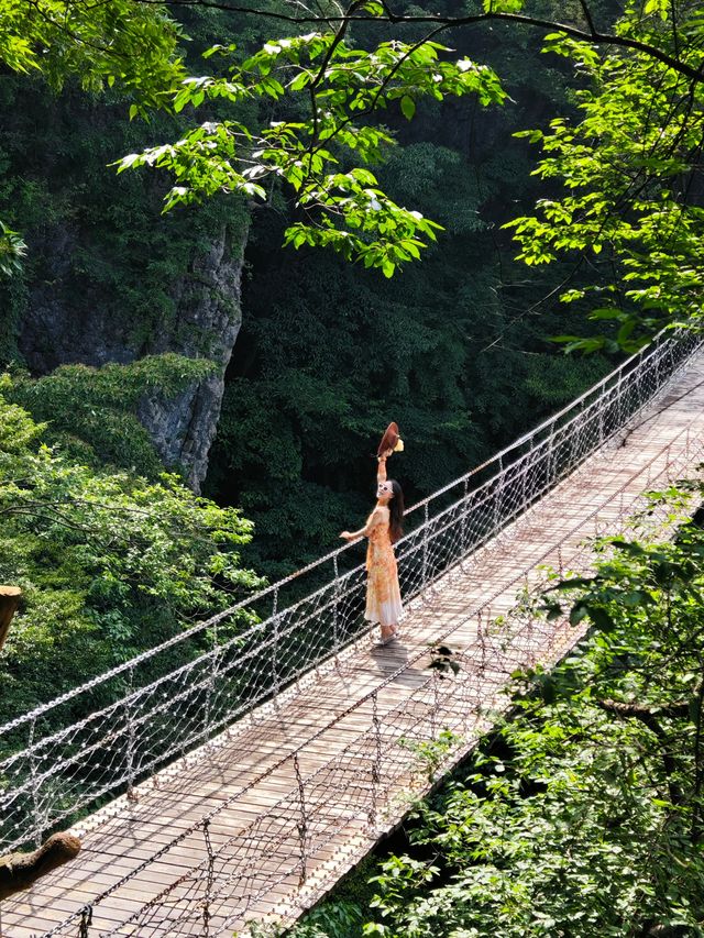 在湖北！21º嘅高山草原，夏天真係舒服到震～