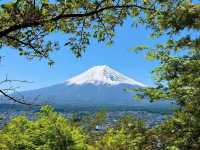 東京出發【富士山・忍野八海・溫泉體驗】