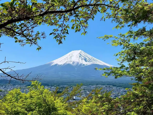 東京出發【富士山・忍野八海・溫泉體驗】