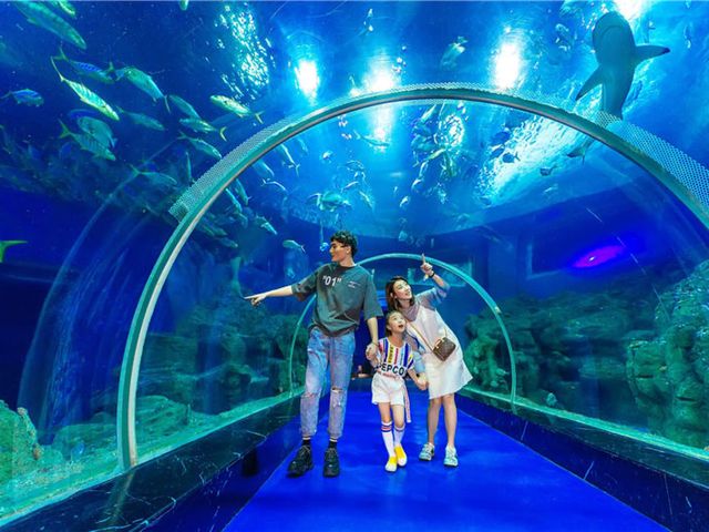 當海風擁抱山嵐，我在威海等你
