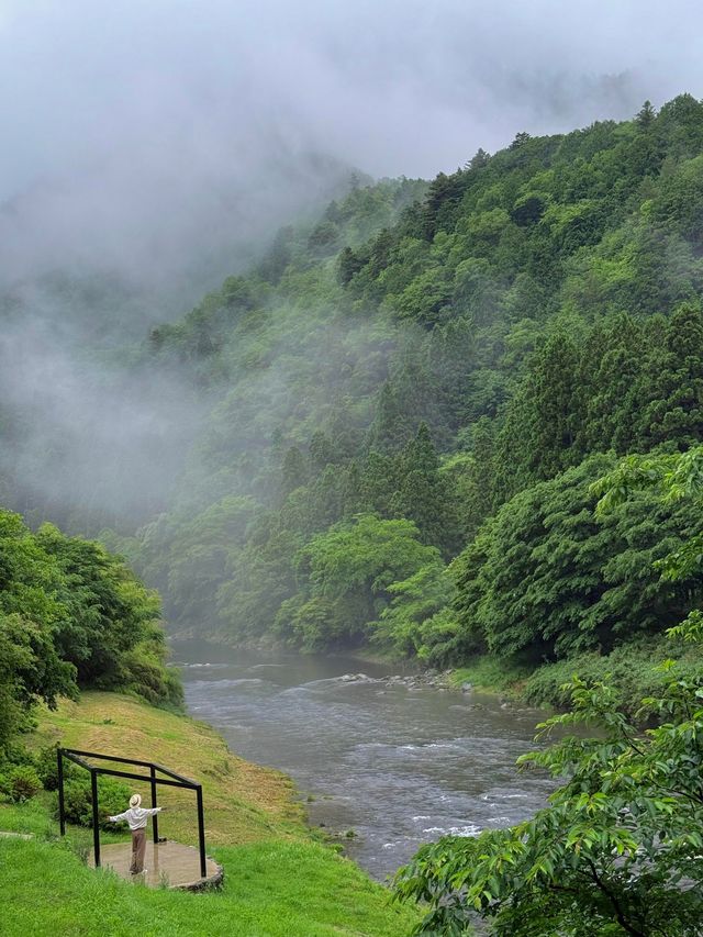 來京都治癒之家過夏天