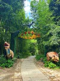 私藏!杭州天子地,被低估嘅山野仙境
