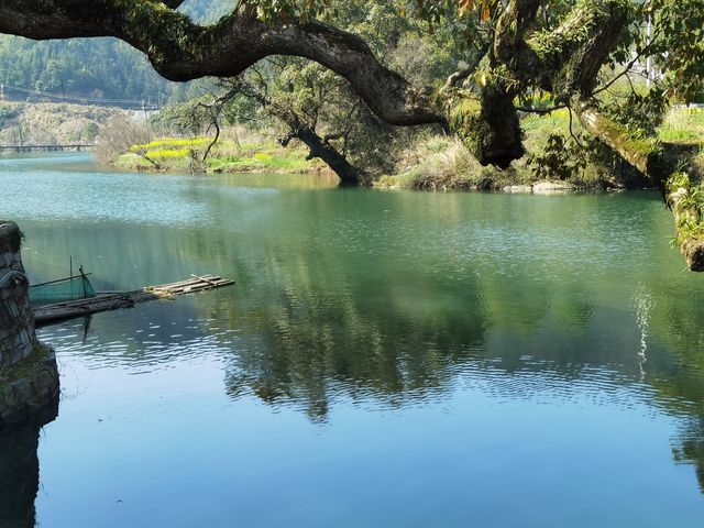 寧靜嘅上坦村