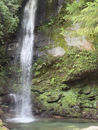 Biwa Falls: A Hidden Silken Dream in Tokushima's Valley