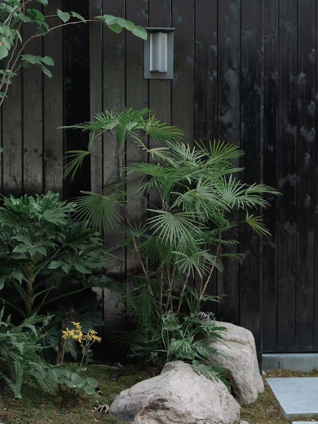 莫干山｜在時光的褶皺中尋找一處溫柔的棲息地