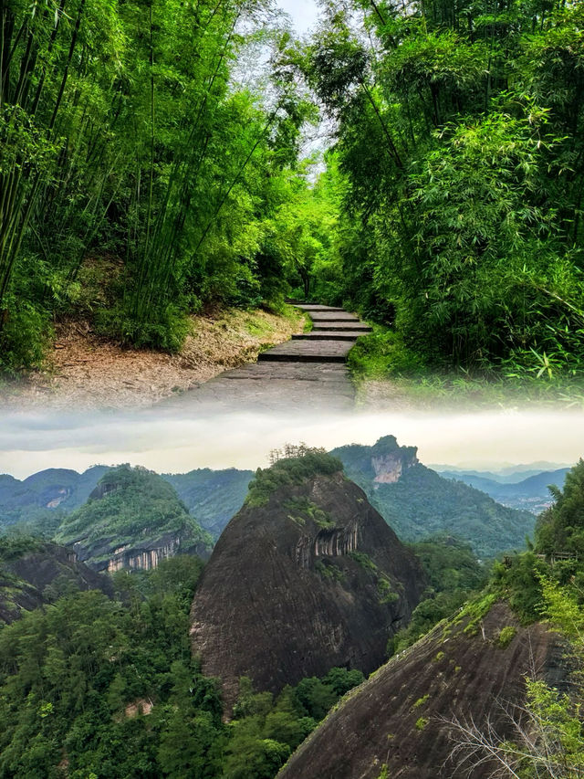 何處丹山映碧水,茶香漫過第幾重峰巒? 何處丹山映碧水,茶香漫過第幾重峰巒?