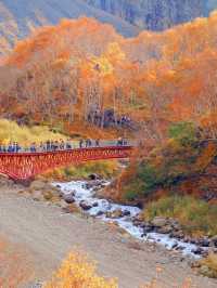 9-10月必去長白山秋色美到窒息天池Get