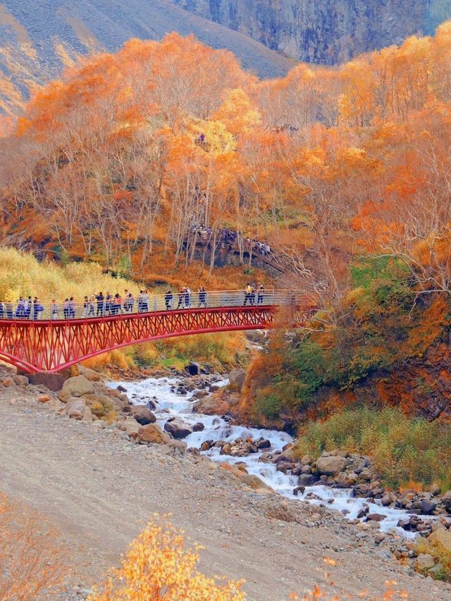 9-10月必去長白山秋色美到窒息天池Get
