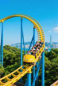 探索奇妙海洋世界，香港海洋公園帶你暢遊夢幻之旅！