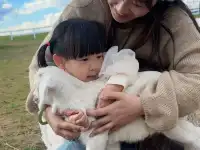 帶娃旅行2歲10個月內蒙之旅！詳細攻略