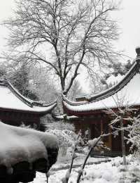 杭州下雪秒變臨安!江南雪景天花板被我拍到了~