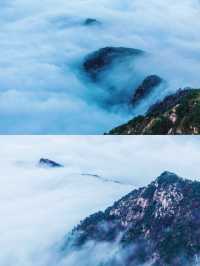 泰山之巔，雲海與秋色撞了個滿懷！