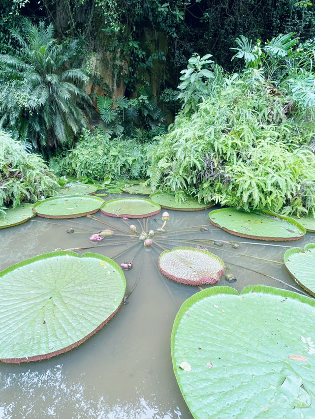 Enjoy and relax your day in Qingxiu mountain Nanning